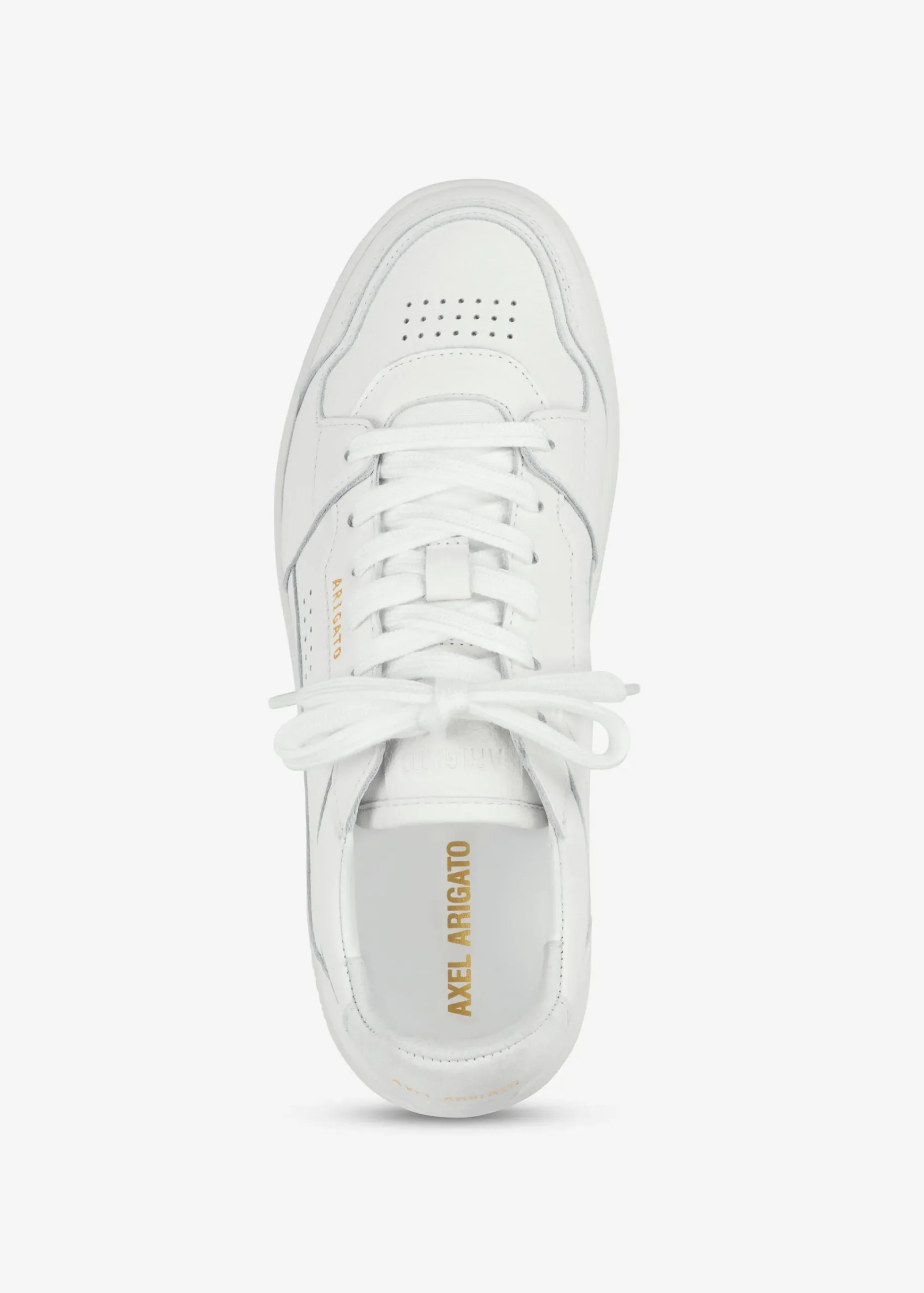 Dice Lo Sneaker