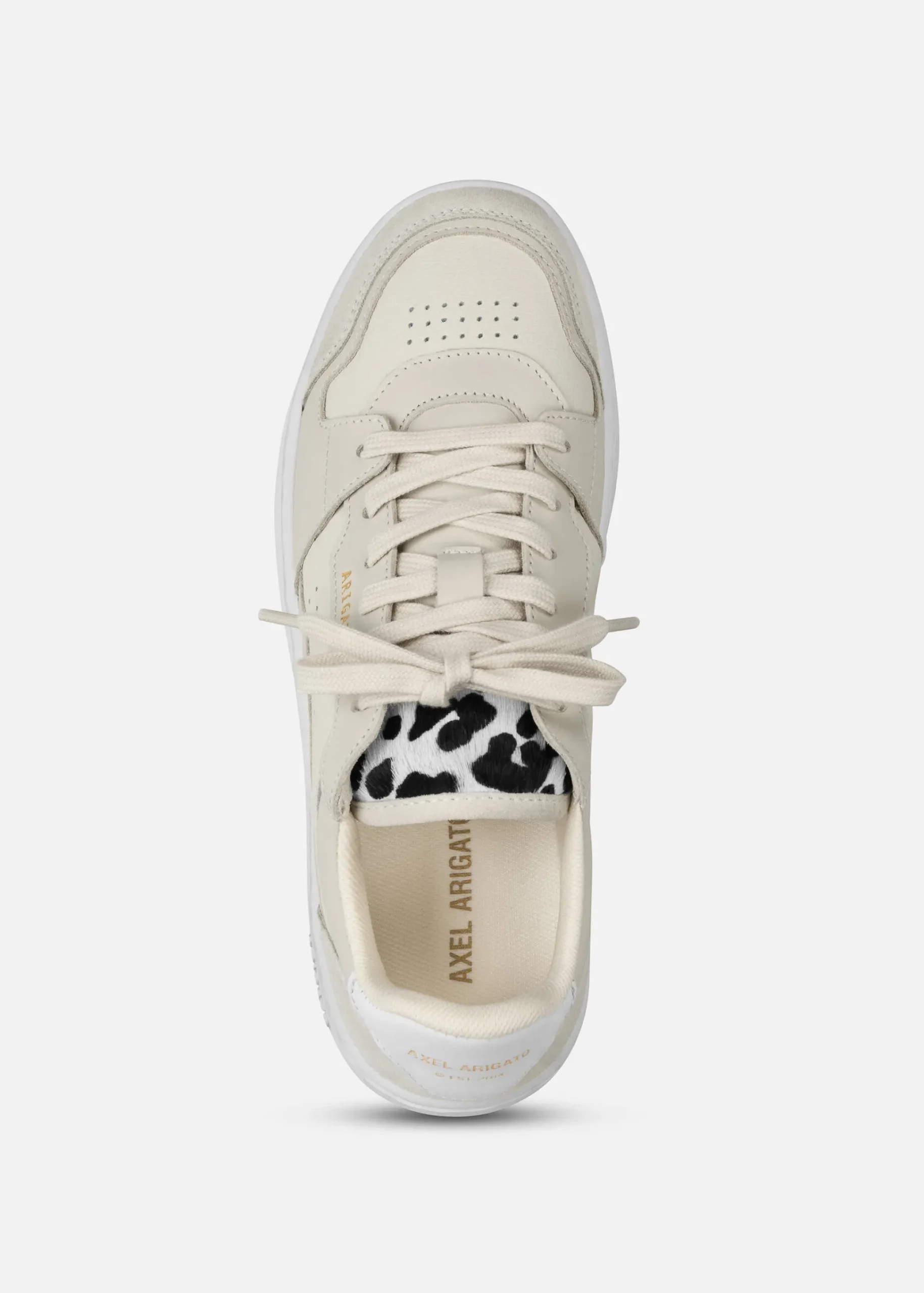 Dice Lo Sneaker